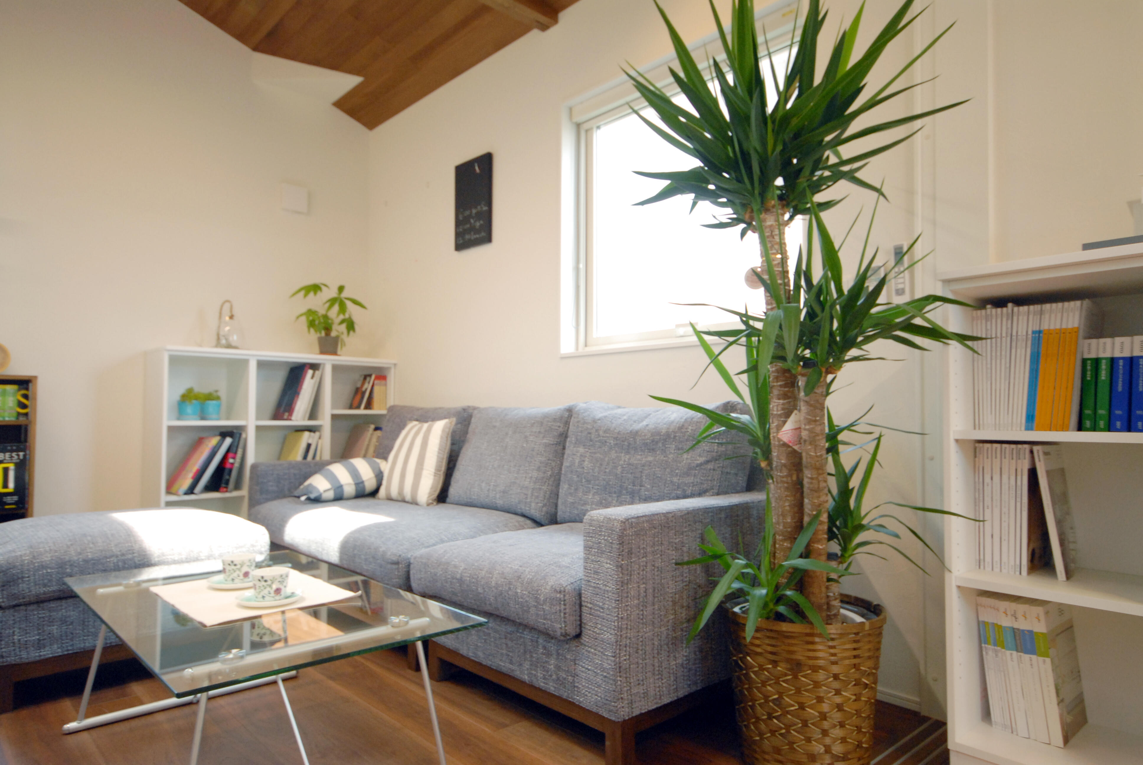 (株)クリエイティブホーム