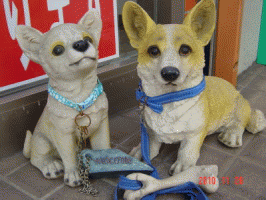 (株)二幸不動産