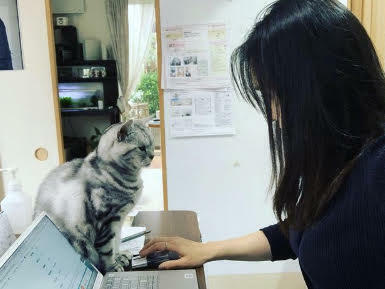 にゃー企画(同)