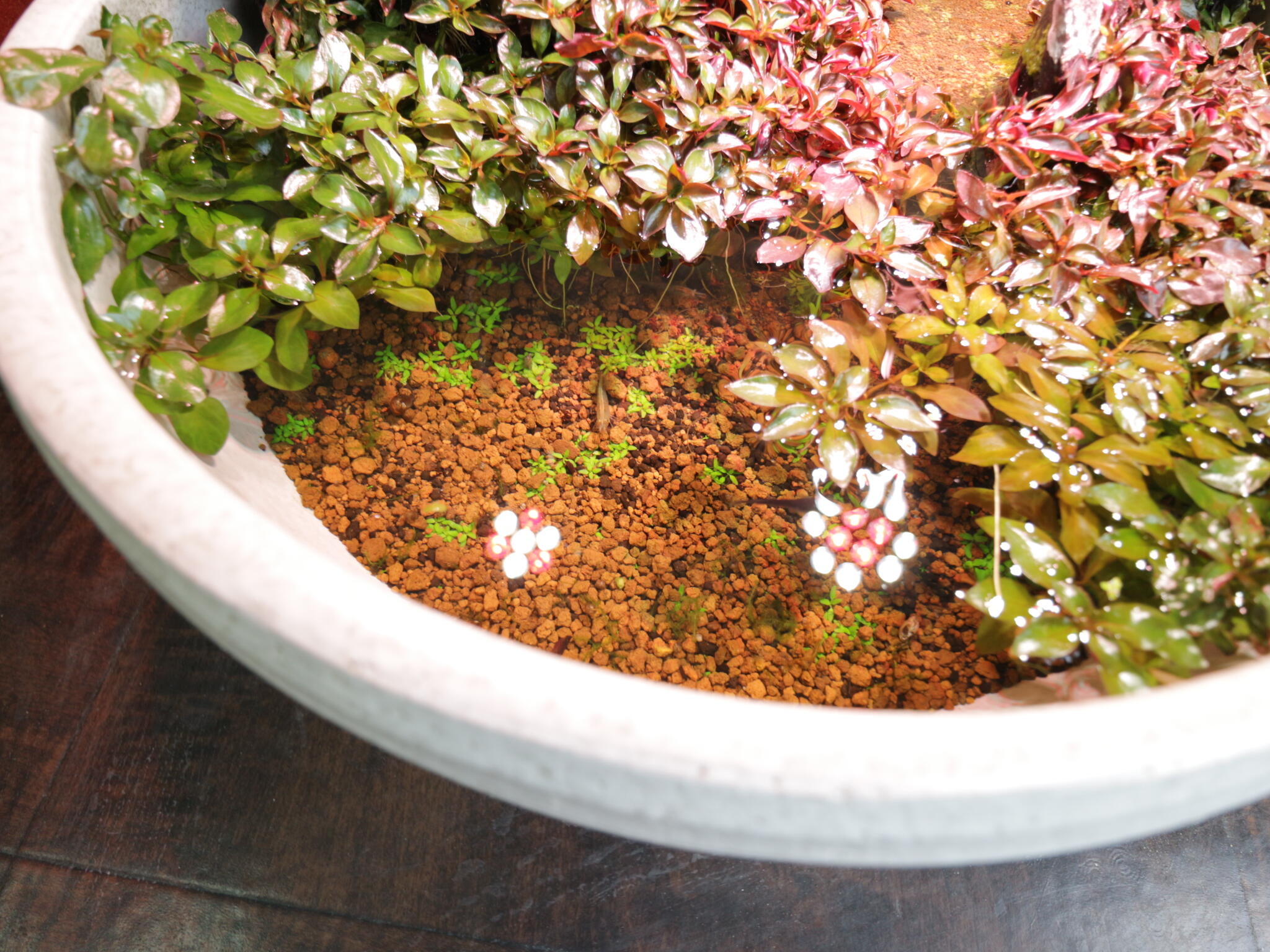 日之出不動産(株) 辻堂店