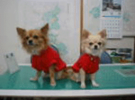 (株)不動産ギャラリー