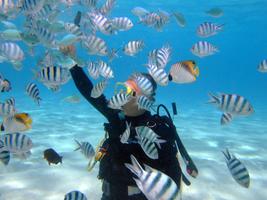 (有)ランドラッシュ