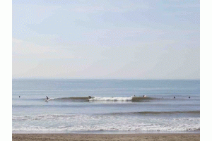 (有)江の島ハウジング