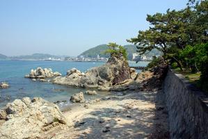 (有)新シン不動産