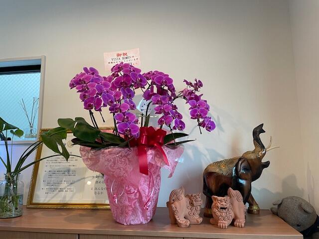 VISTA HOMES (株)Ryu property Agency