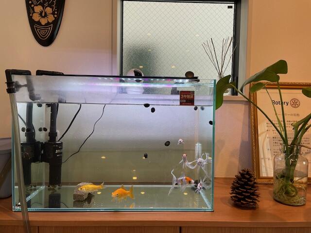 VISTA HOMES (株)Ryu property Agency