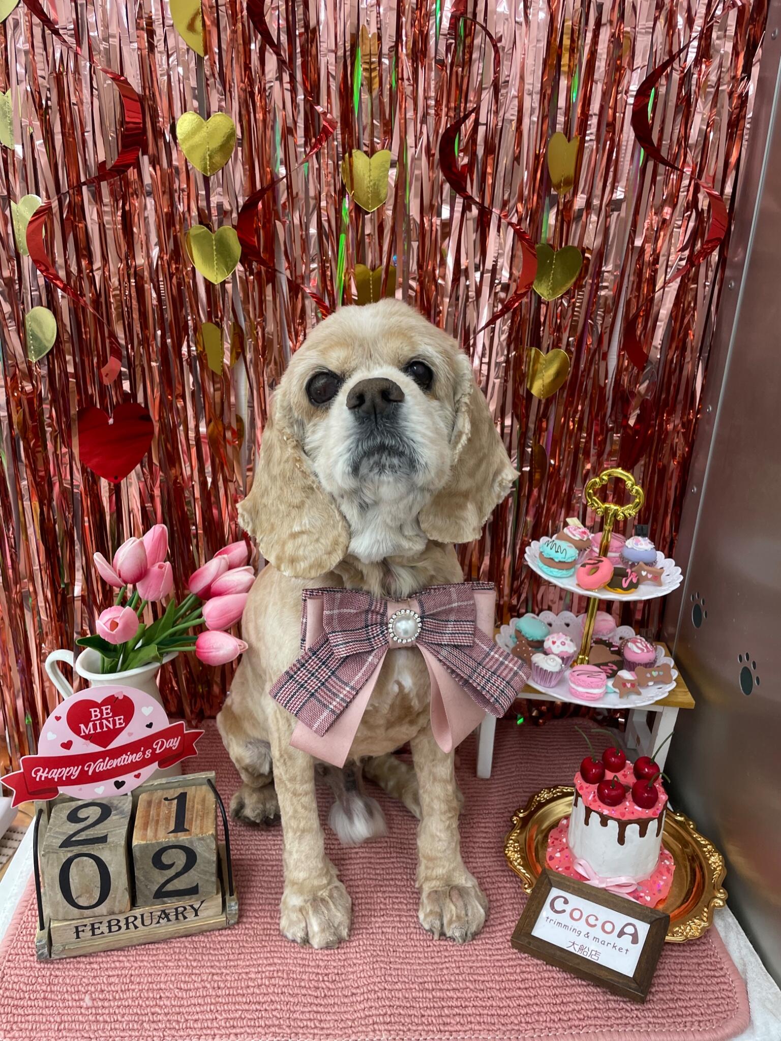 (株)ＧＩＤＯＨ企画