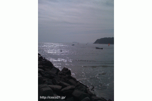 ☆みんなのおうち☆　ＣｏＣｏ２１　（(株)ＣｏＣｏ２１）